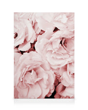 Close Up Pink Roses Canvas print