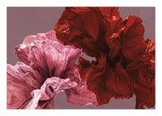 Paper Blossom No1 Print