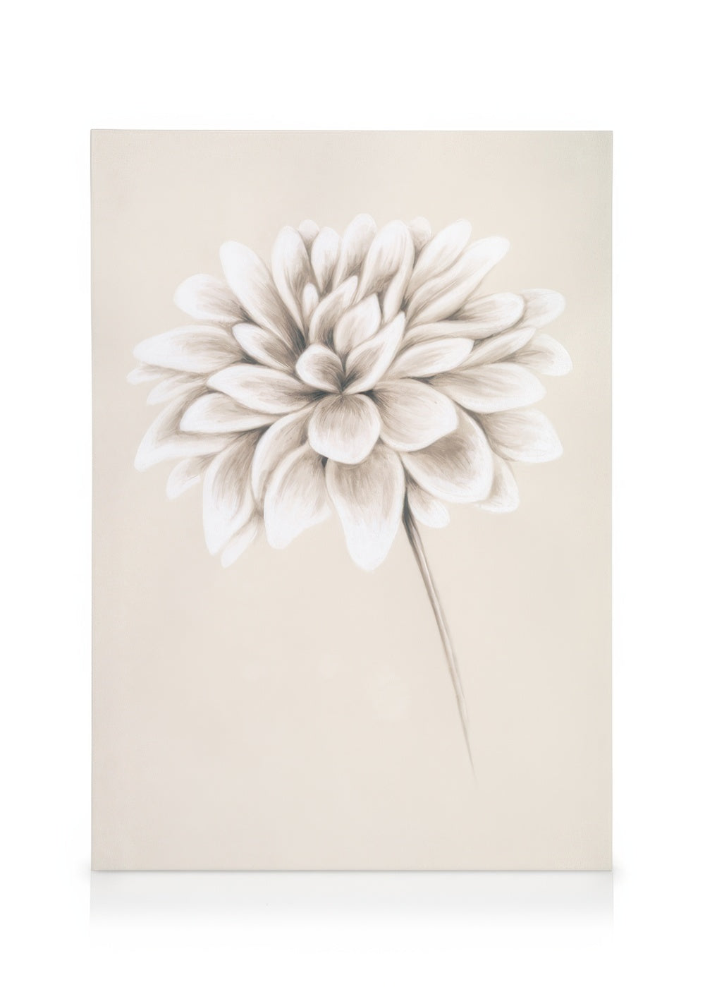 Painted Dahlia Canvas print