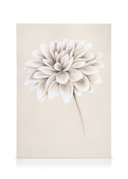 Painted Dahlia Canvas print