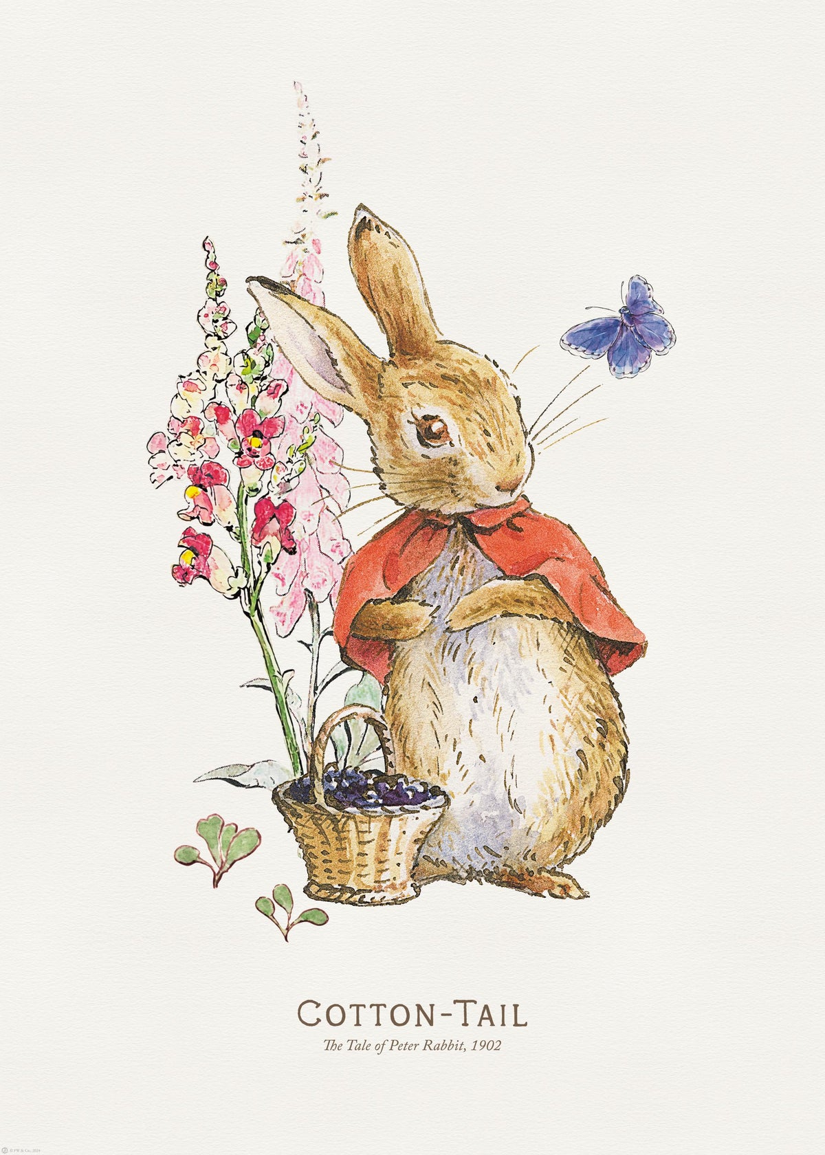 Peter Rabbit - Cotton Tail Illustration Print