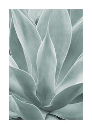 Agave Leaves No1 Print