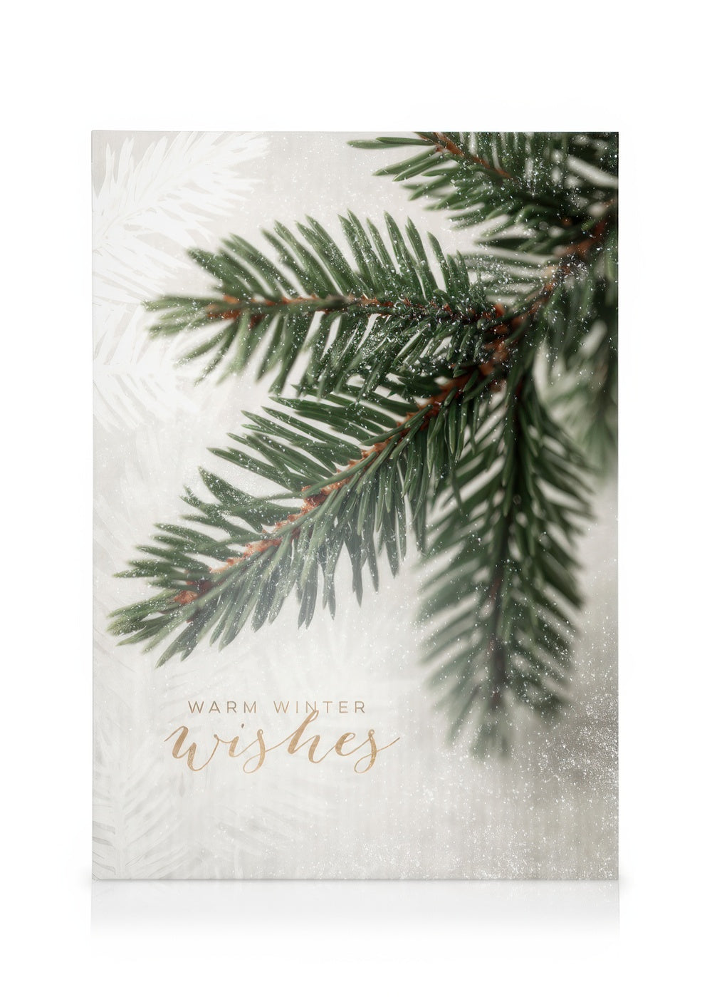 Spruce Branch Canvas print