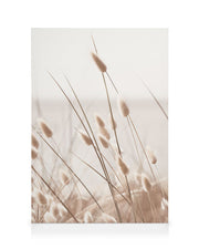Beige Grass by the Sea Canvas print