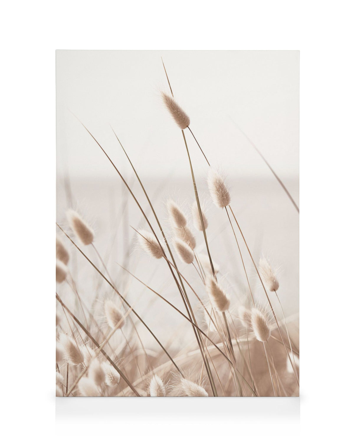 Beige Grass by the Sea Canvas print