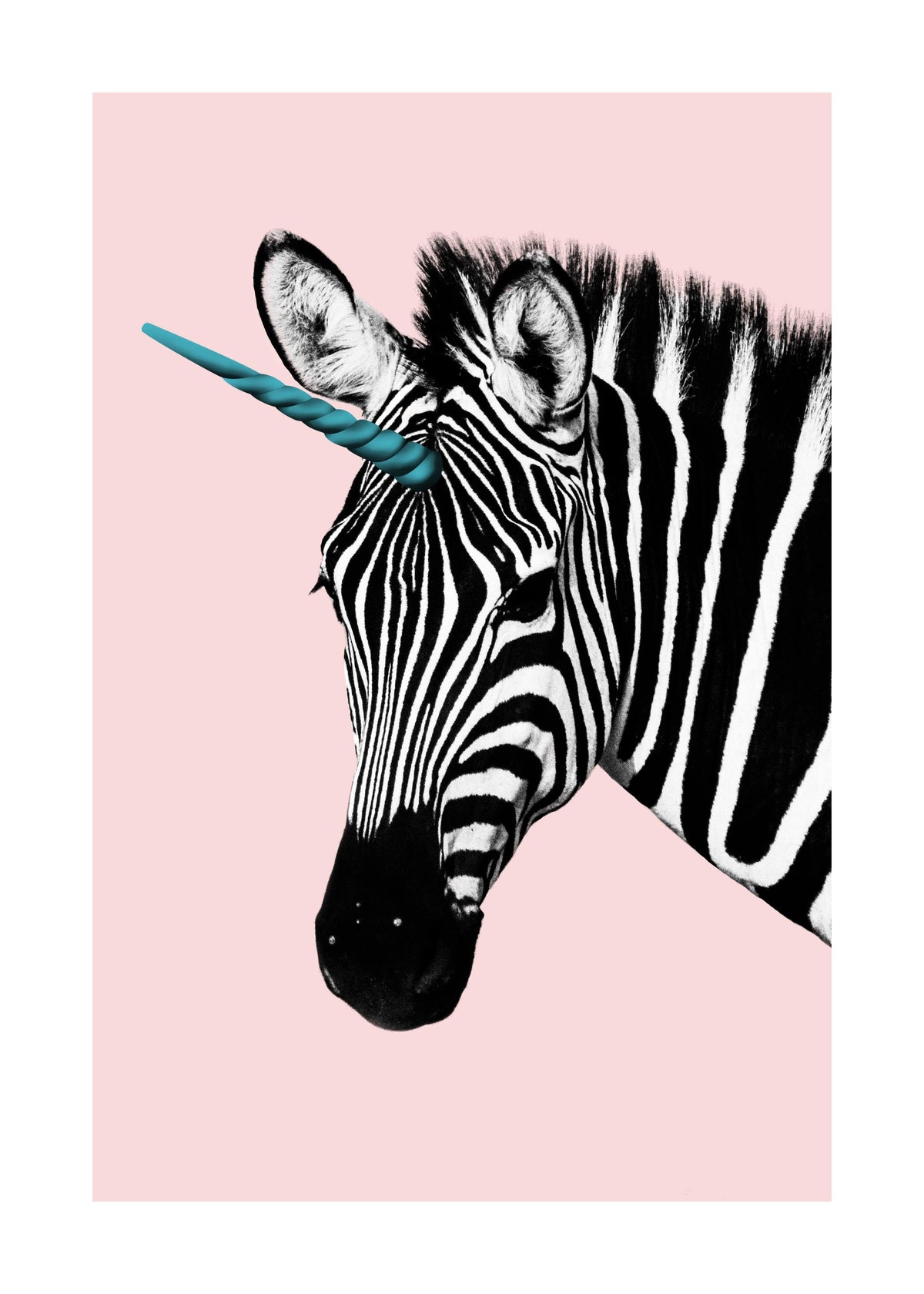 Unicorn Zebra Print