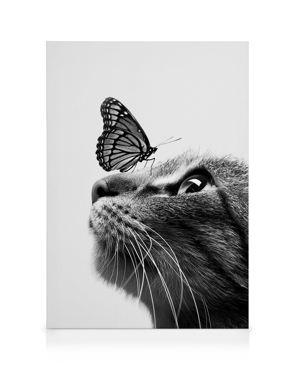 Butterfly Cat Canvas print