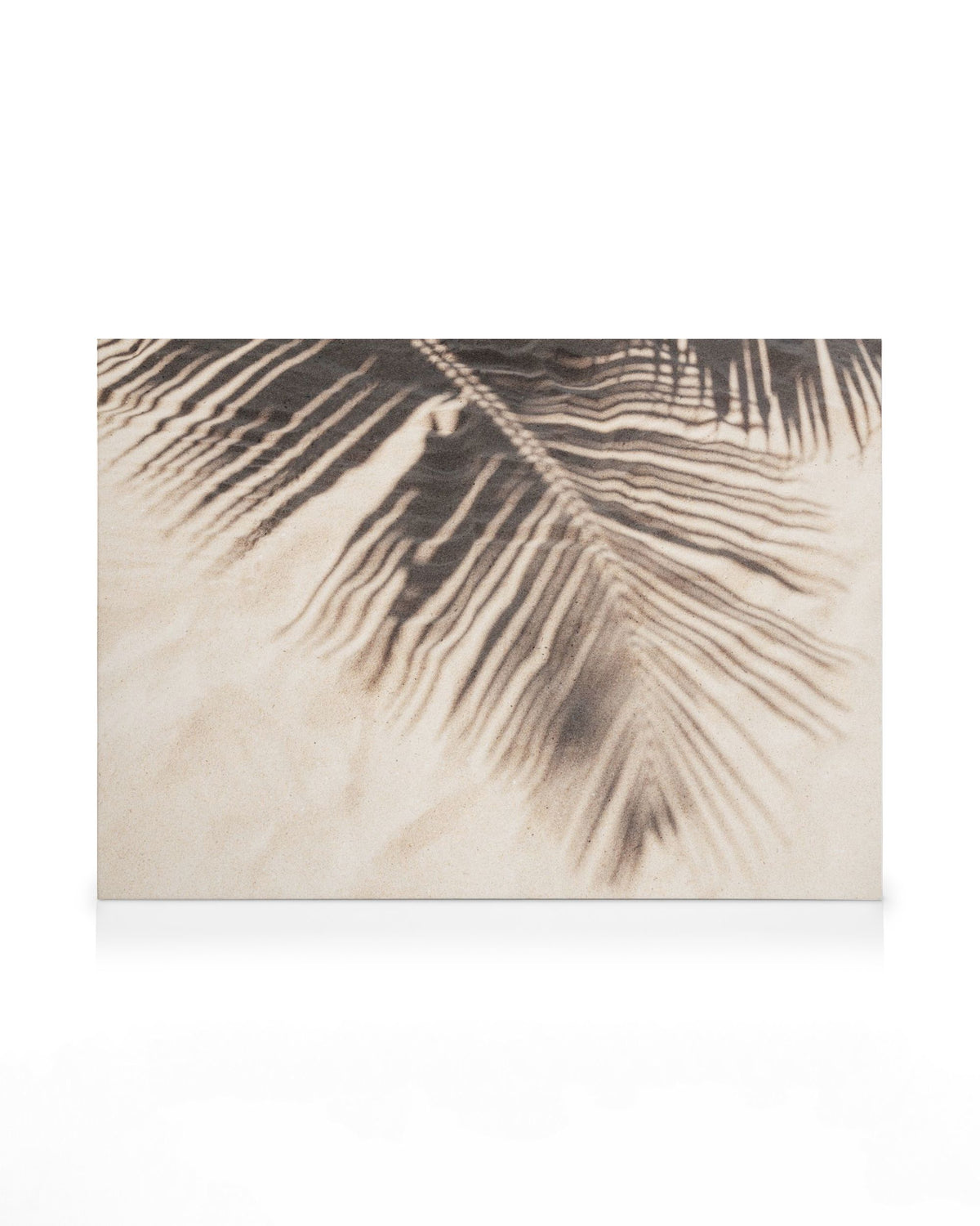 Tropical Shadow Canvas print