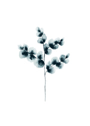 Cotton Plant Blue, Print