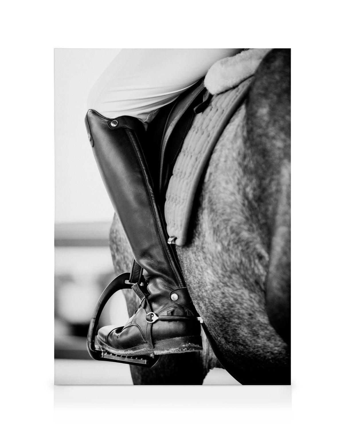 Horse Riding Canvas print