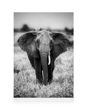 Elephant on the Savanna Canvas print