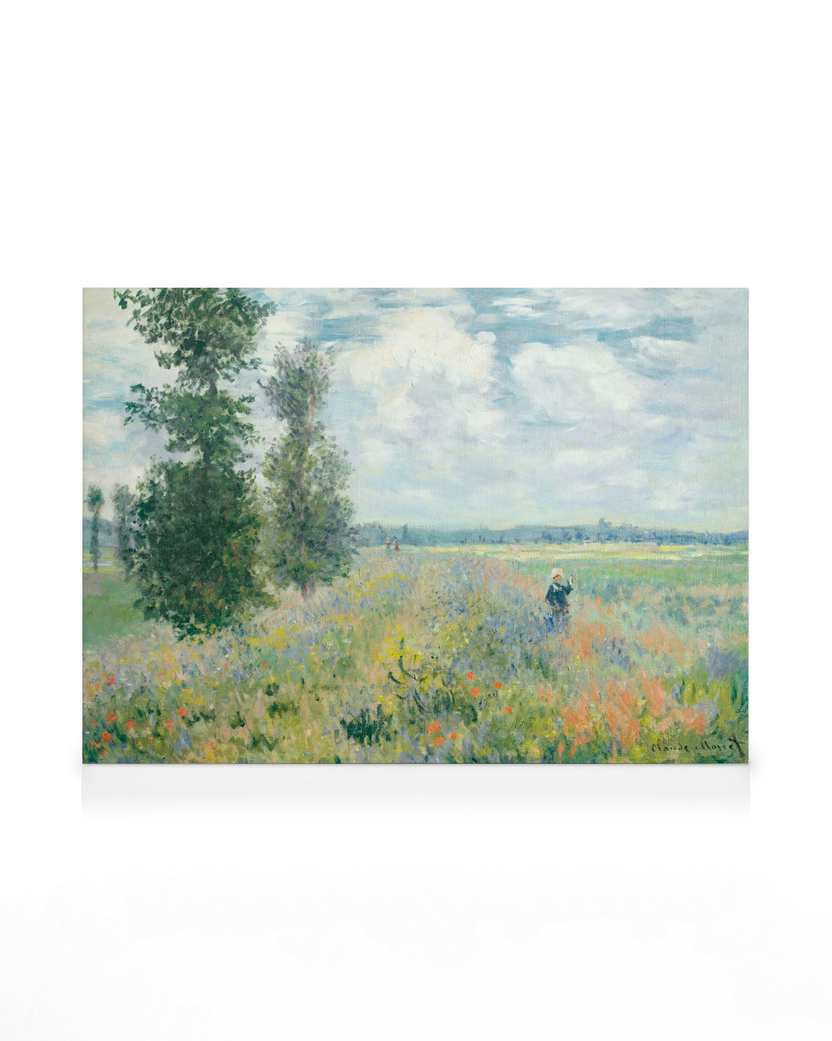 Monet - Poppy Fields near Argenteuil Canvas print