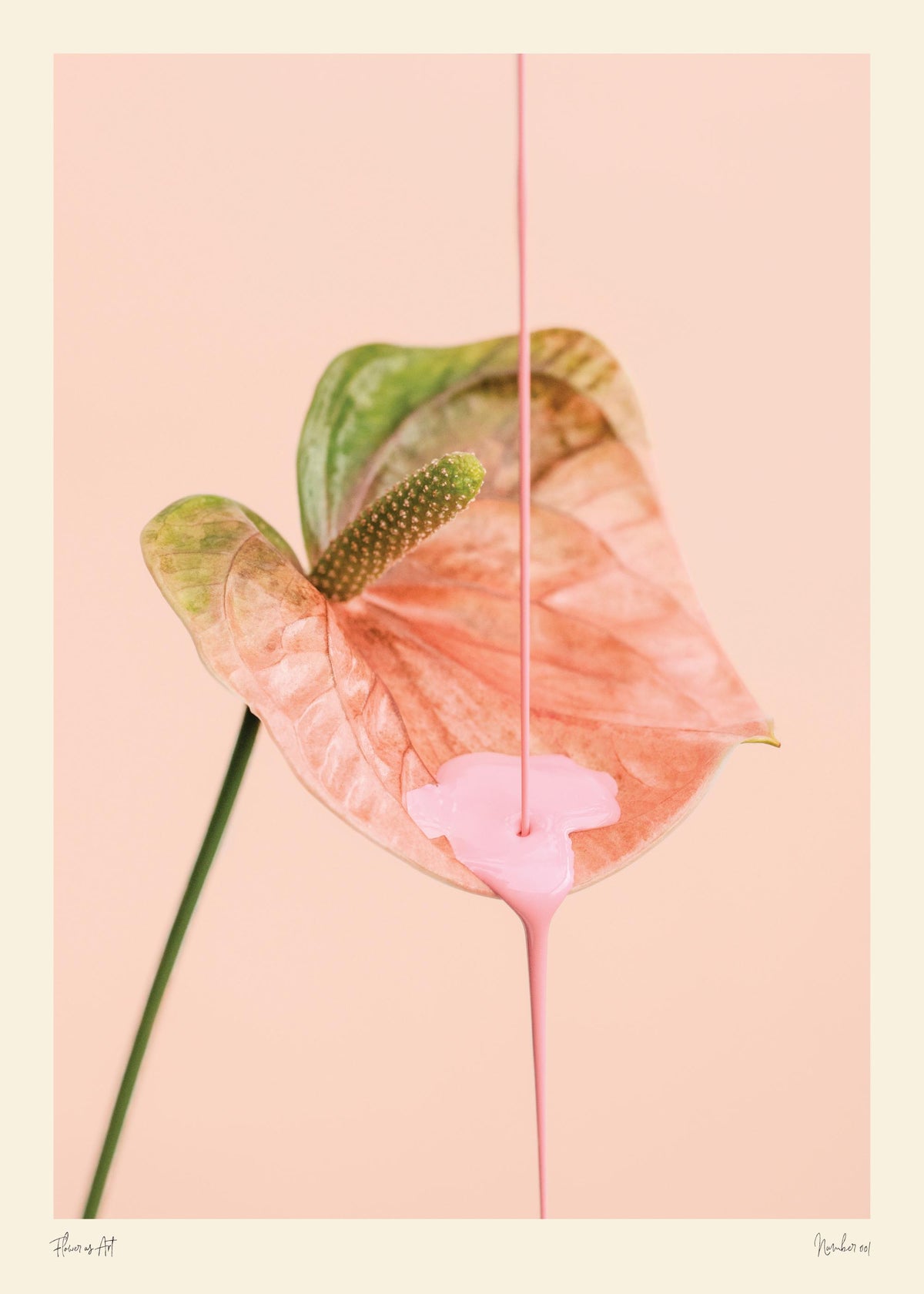 Flower as Art Print