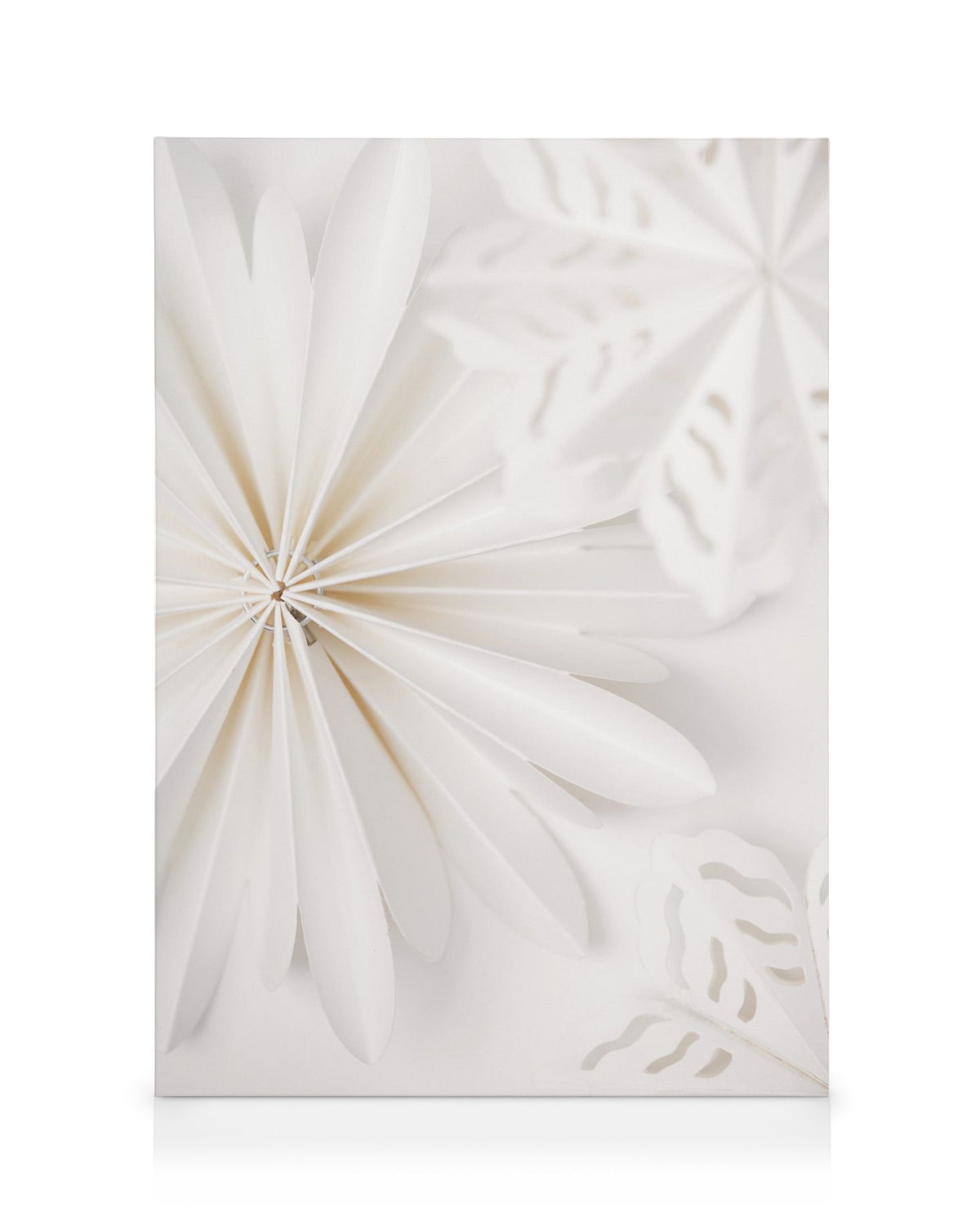 Paper Stars Canvas print