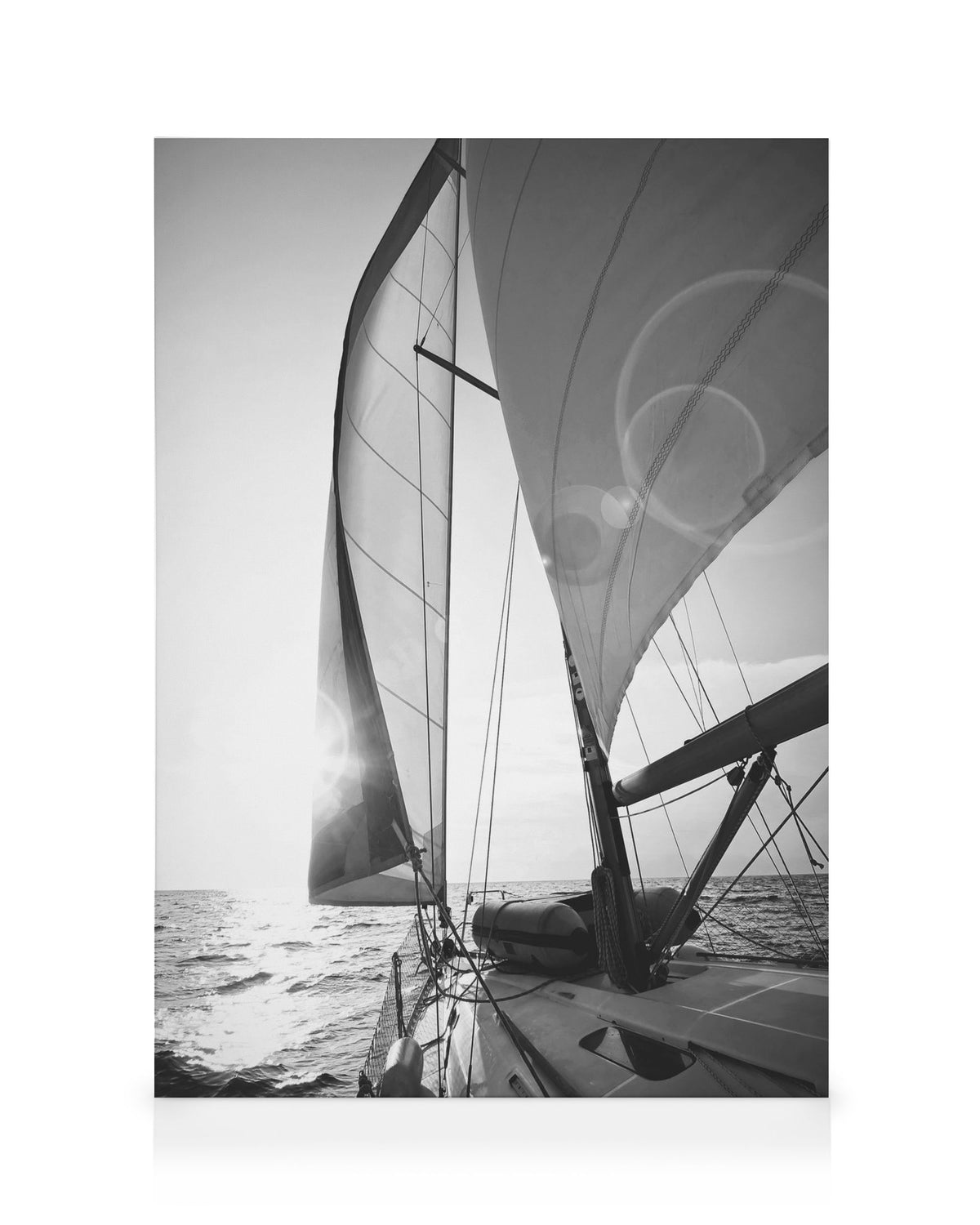 Sailing Canvas print