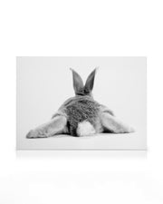 Bunny Behind Canvas print