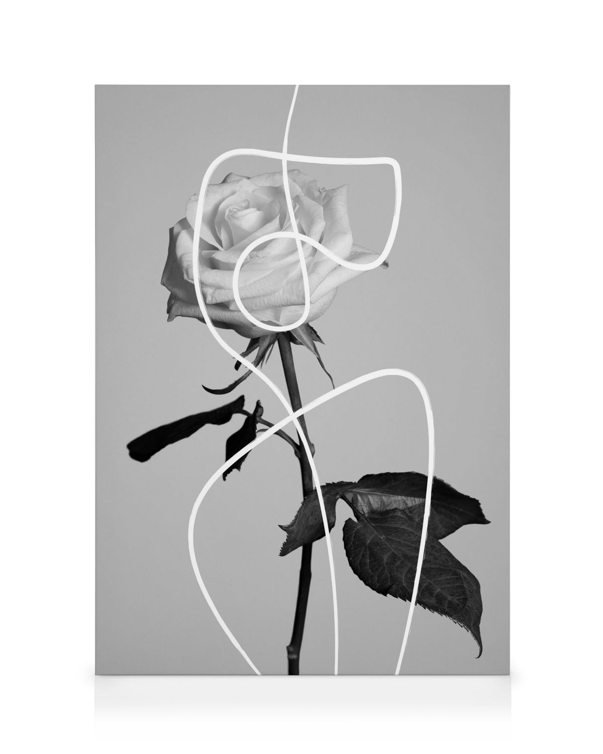 Flower Shapes Canvas print