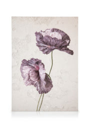 Purple Poppy Flower Canvas print