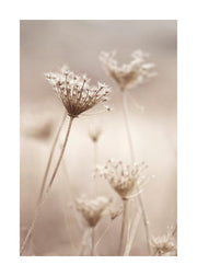 Wildflowers in Beige Print