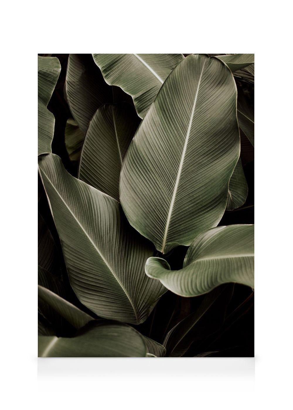 Green Symphony Canvas print