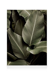 Green Symphony Canvas print