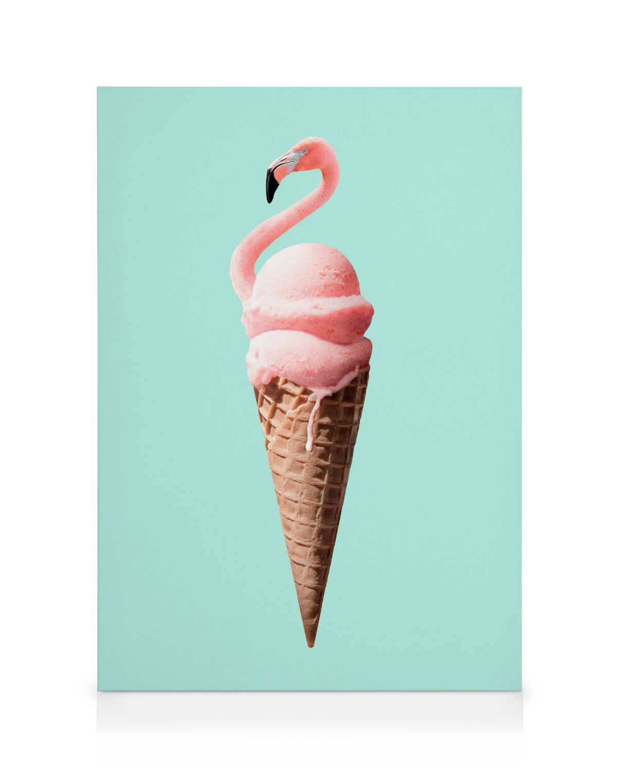 Jonas Loose - Flamingo Cone Canvas print