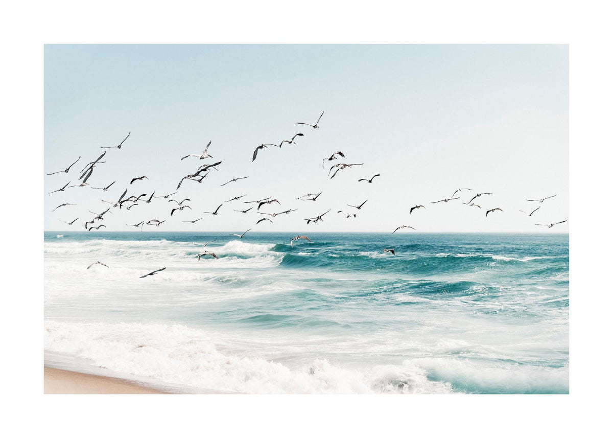 Birds on Seascape Print