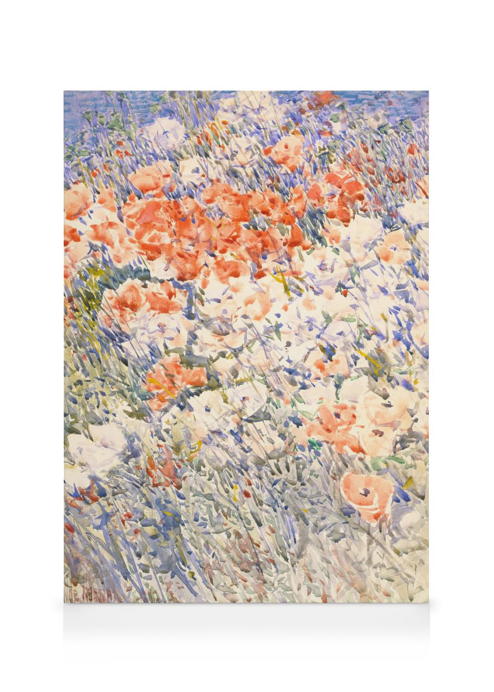 Frederick Childe Hassam - The Island Garden Canvas print