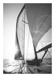 Sailing Print