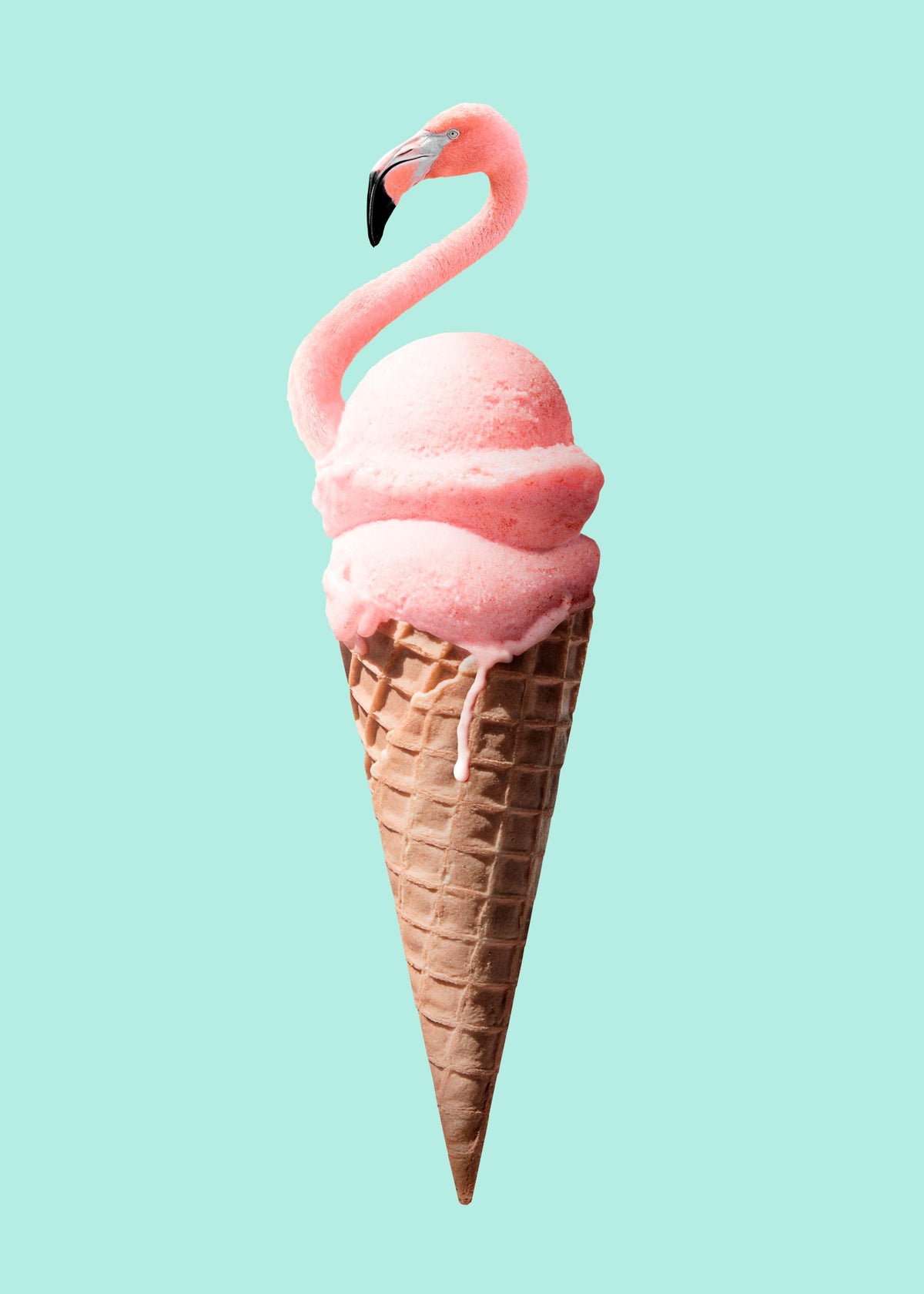 Jonas Loose - Flamingo Cone Print