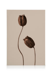 Brown Flowers Canvas print
