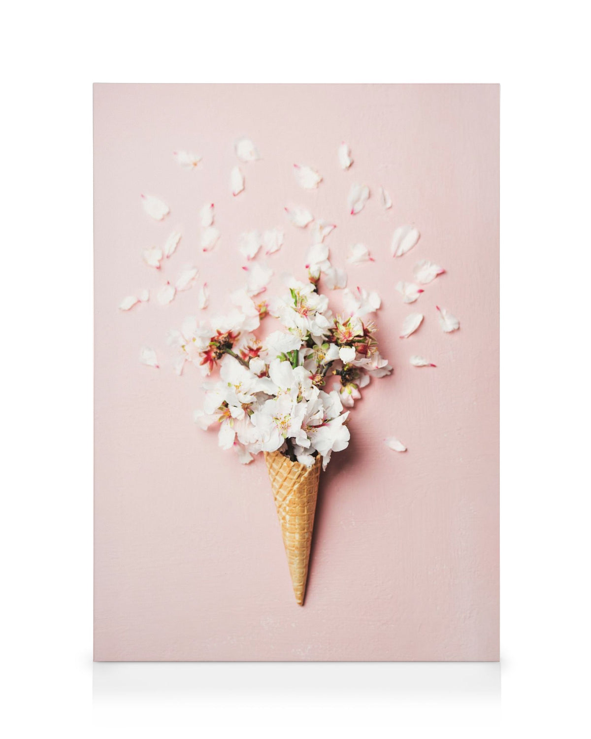 Flower Cone Pink Canvas print