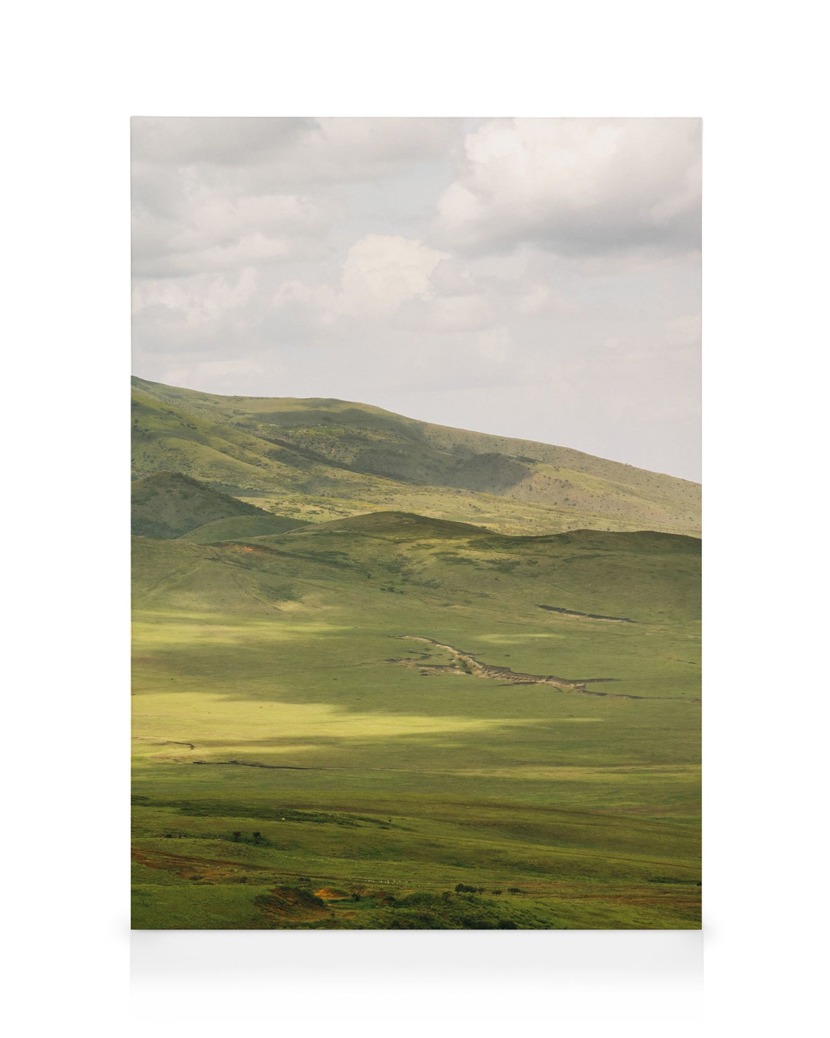 Highlands No3 Canvas print