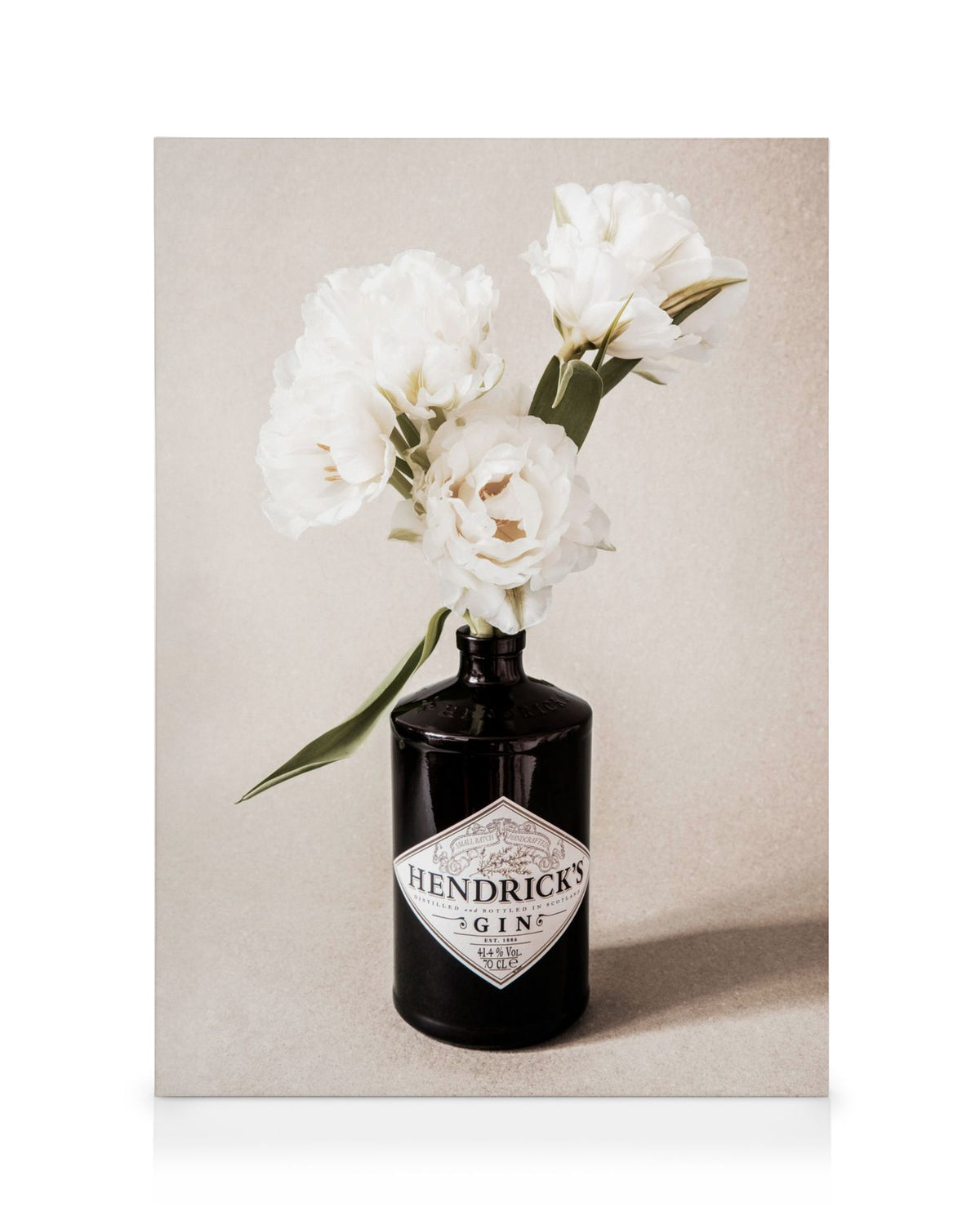 Gin & Roses Canvas print