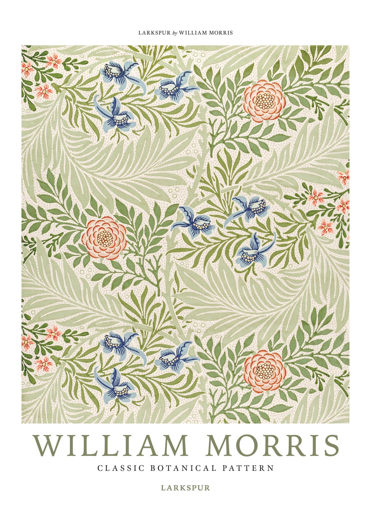 William Morris - Larkspur No4 Print