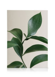 Green Botanical Canvas print