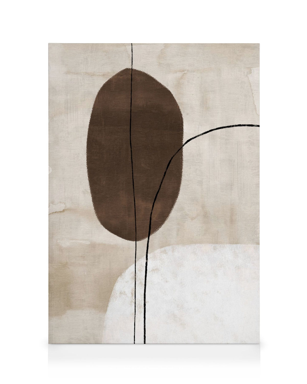 Abstract Lines and Shapes No2 Canvas print