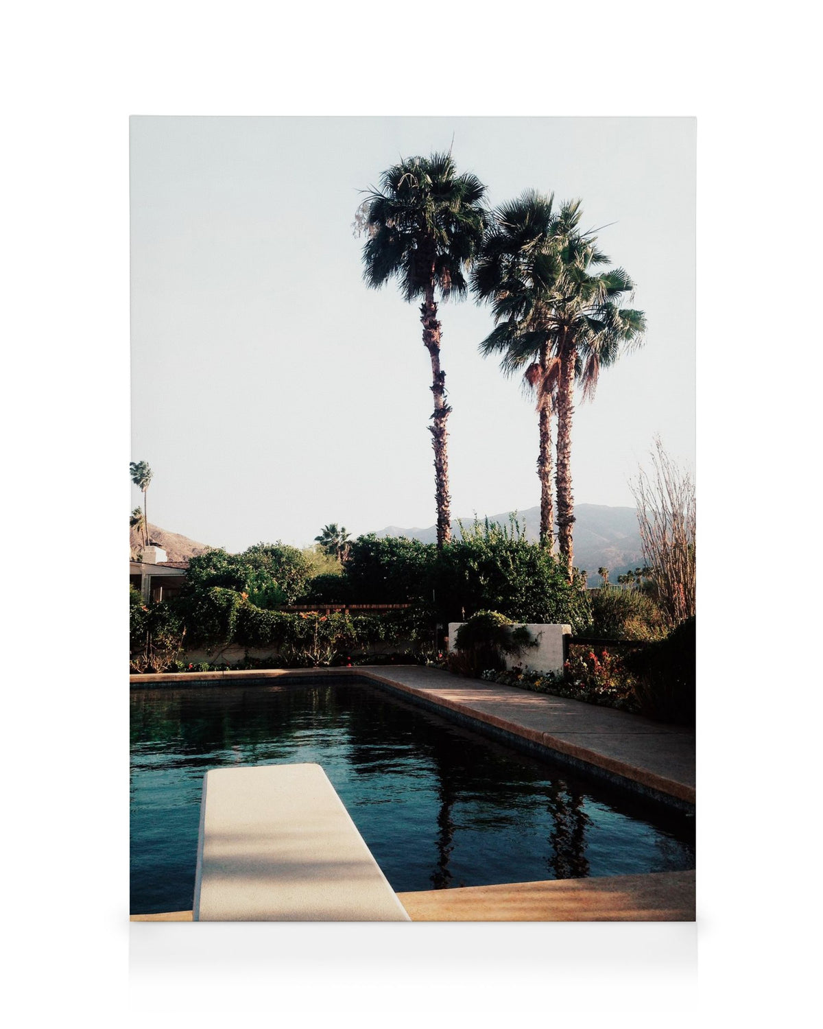 Palm Springs Pool Canvas print