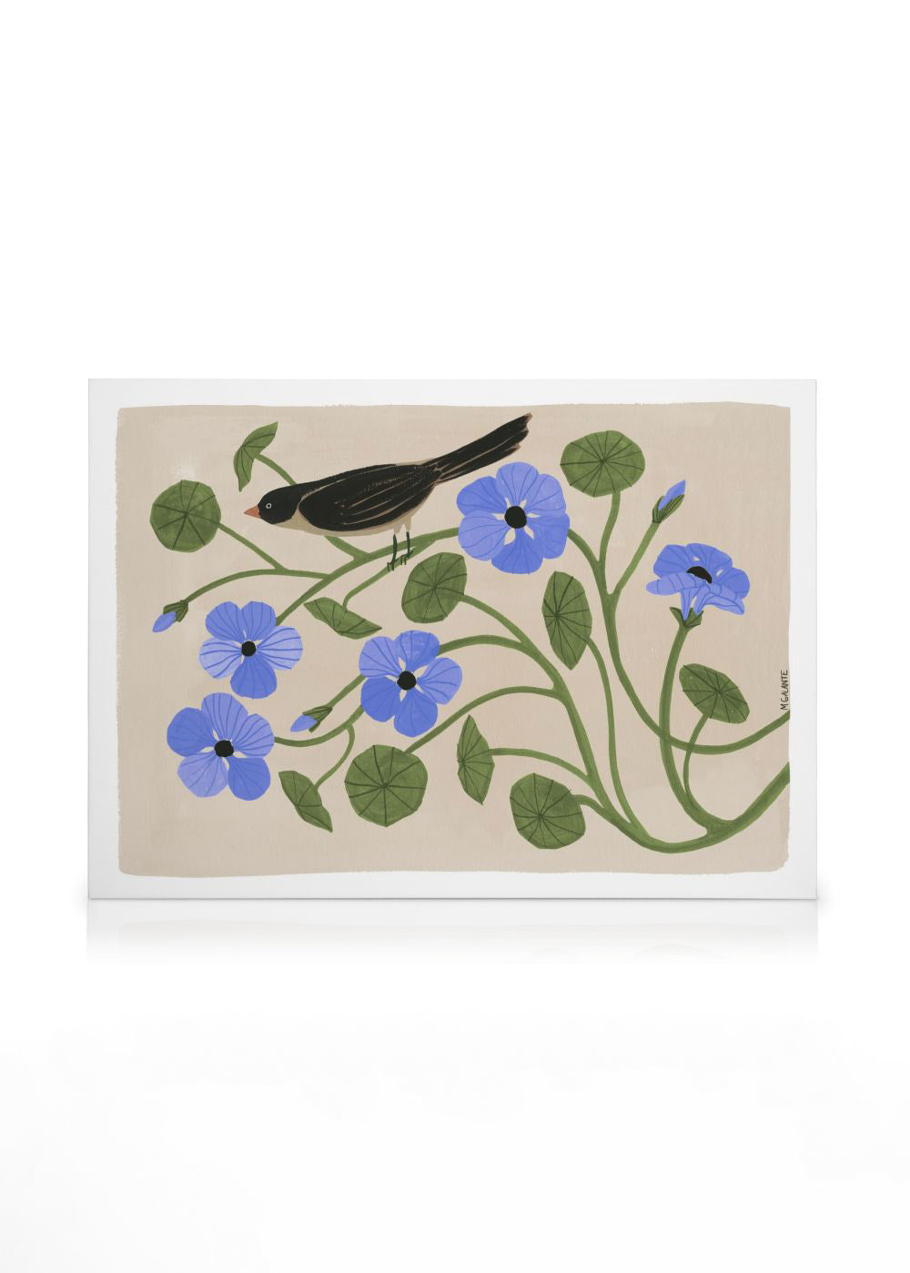 Megan Galante - Garden Pansey Canvas print