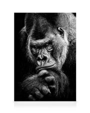 Gorilla Canvas print