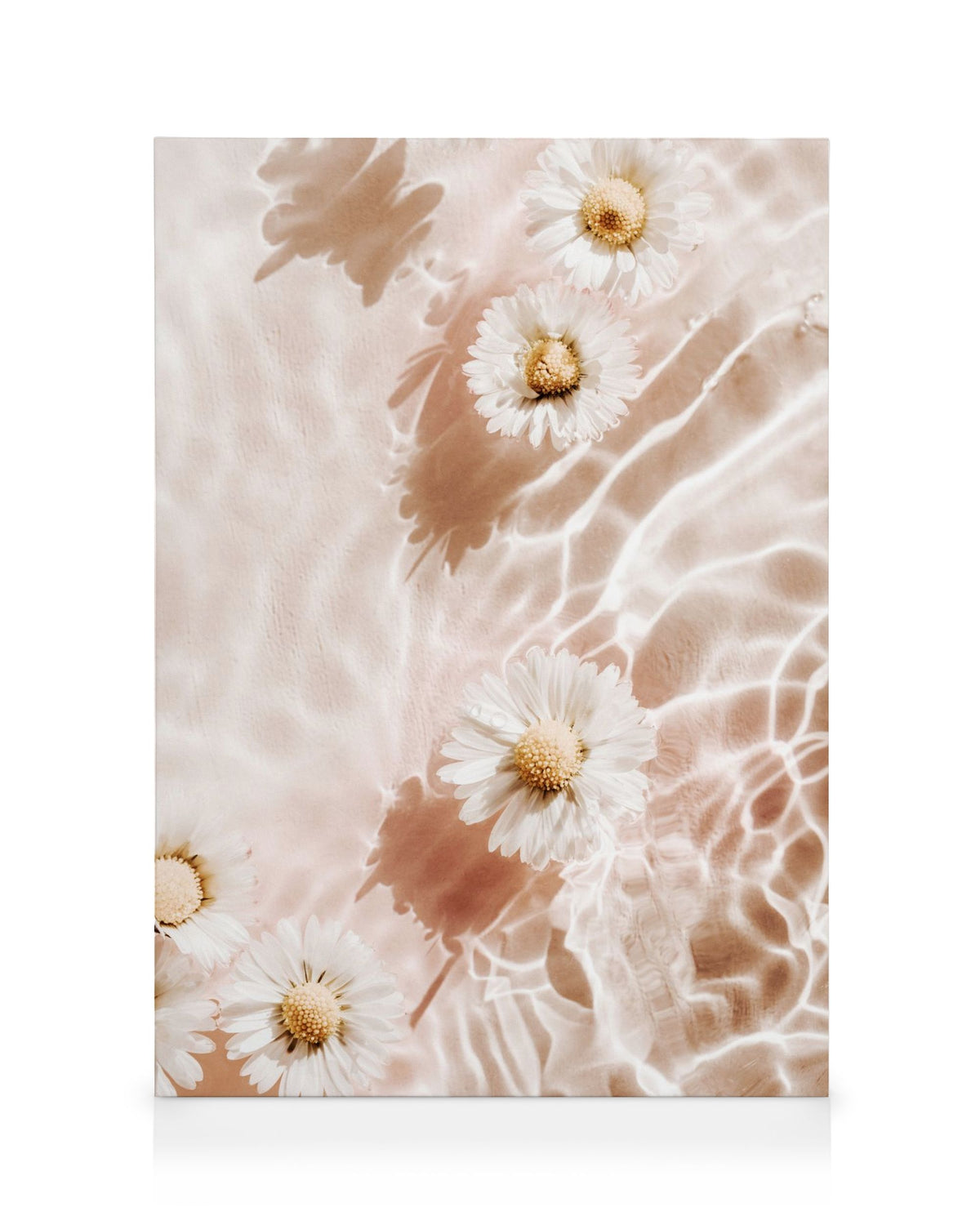 Reflective Flowers No2 Canvas print