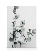 Eucalyptus Twigs No1 Canvas print