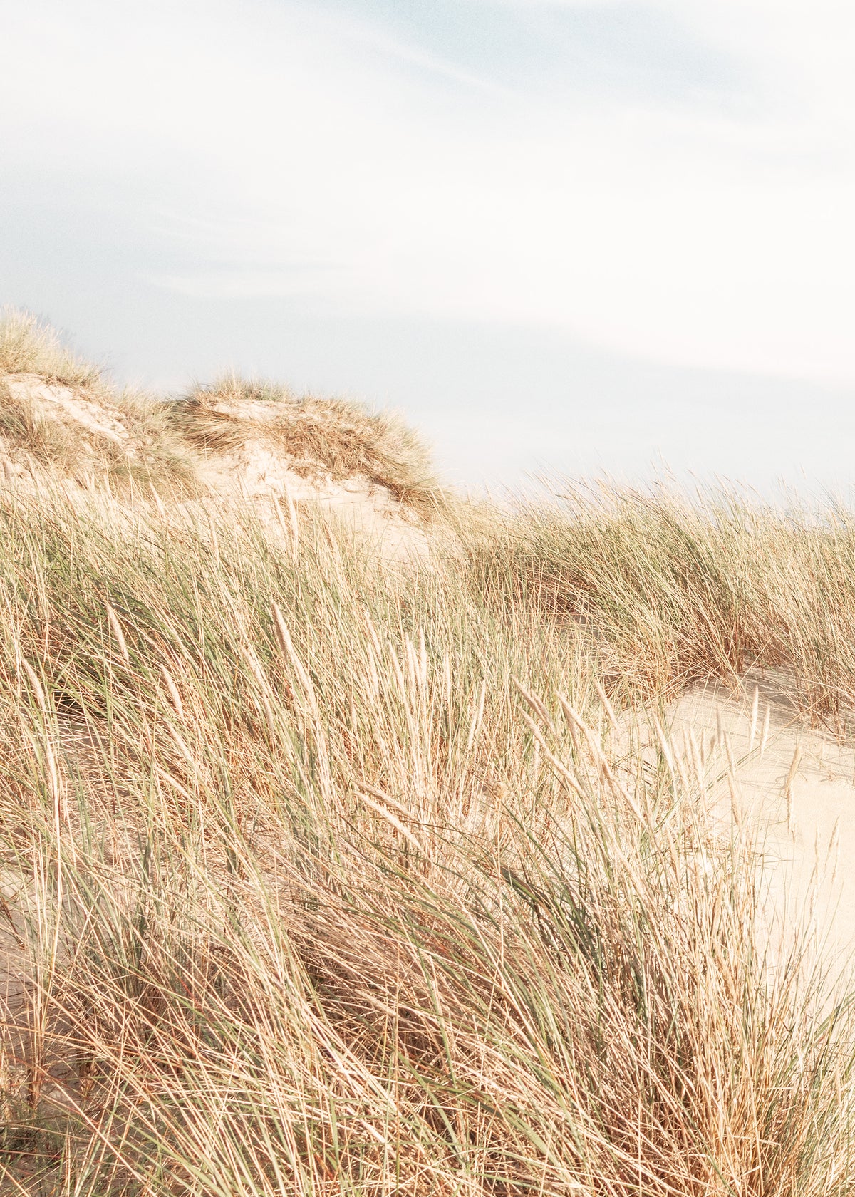 Shorelines No1 Print