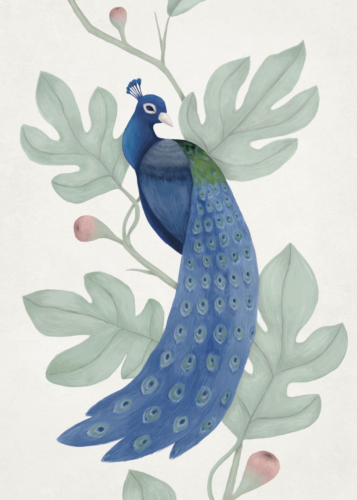 Vintage Blue Peacock Print