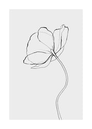 Line Poppy Print
