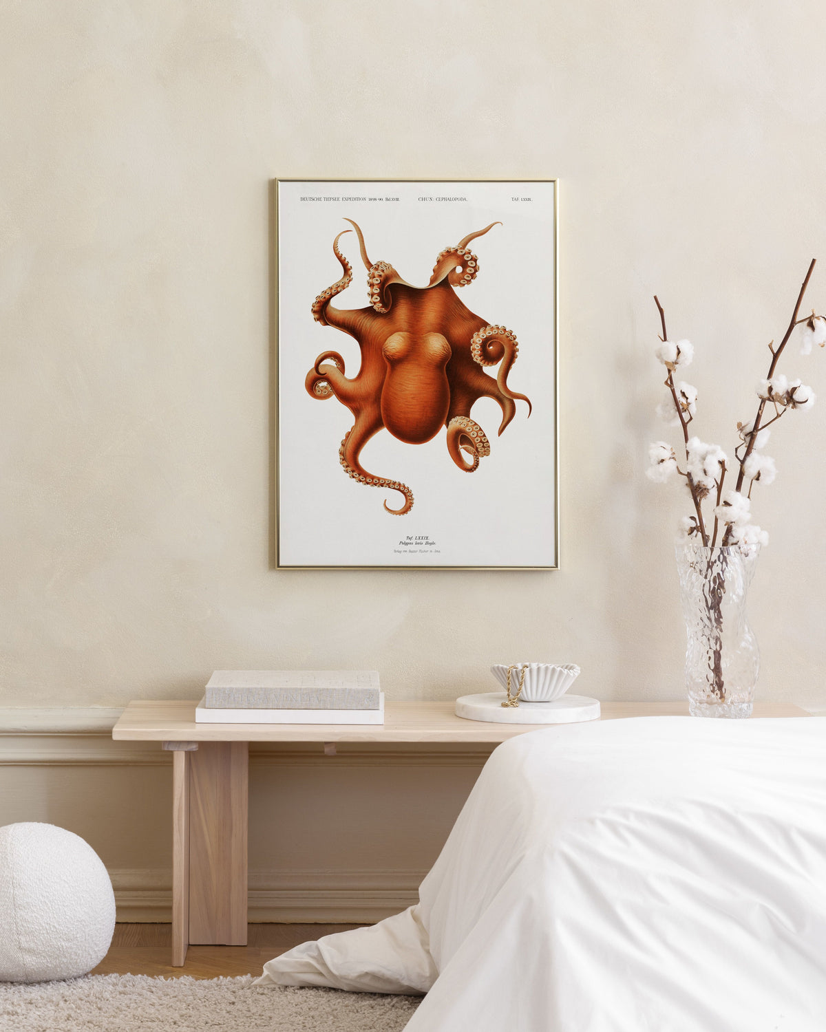 Vintage Octopus Print