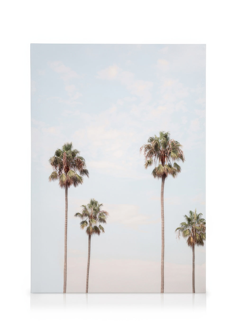 Palm Sky Canvas print