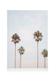 Palm Sky Canvas print