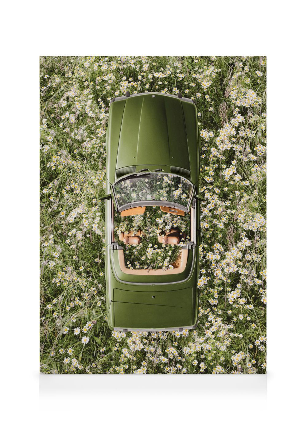 Floral Escape Canvas print