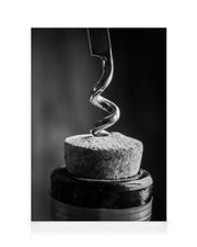 Corkscrew Canvas print